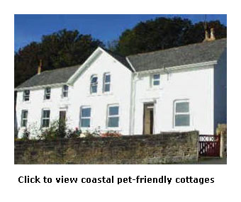 yorkshire coastal cottages dog friendly