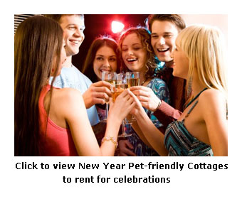 dog friendly cottages for new year