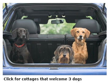 holiday cottages dogs welcome